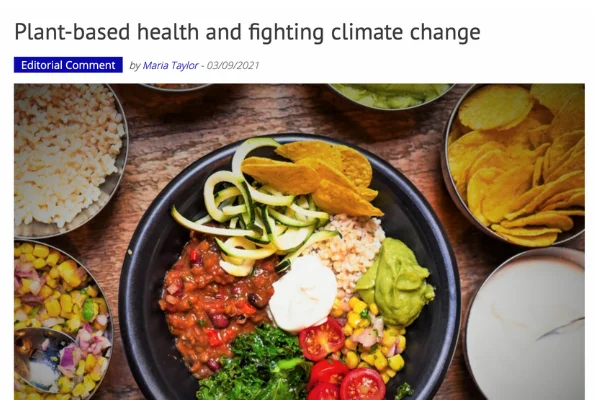 Article by Maria Taylor – The District Bulletin