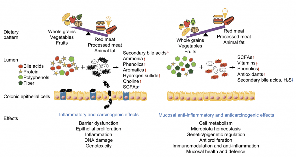 Whole food plant-based (WFPB) eating and colorectal cancer