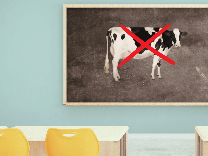 Dairy Education in Schools